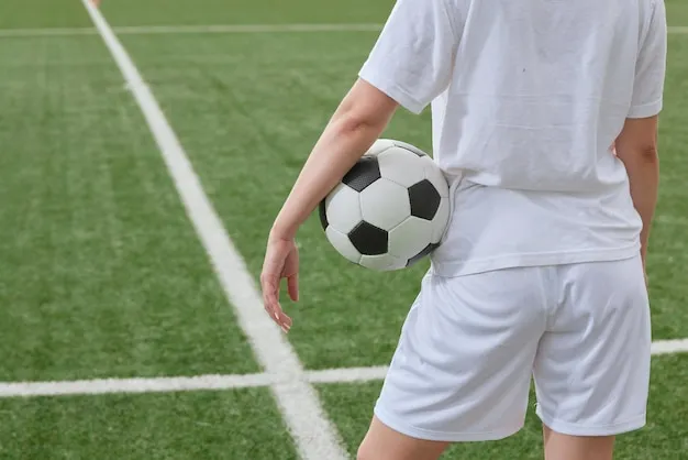 NG体育APP 功能图示